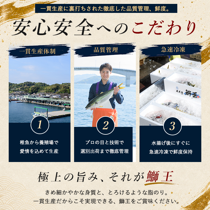 【期間限定】＼年末発送 先行予約／＜数量限定＞【2026年12月30日発送】『旅サラダ』で紹介ぶりの王様「 鰤王 」 フィレ 半身 (約1.2kg〜・フィレ1枚) 産地直送 新鮮 旨味が抜群の 長島町 特産品 ブランド ぶり 鰤 ブリ 切り身 真空 冷蔵 刺身 ぶりしゃぶ しゃぶしゃぶ 魚 魚介 人気 ランキング 年末年始発送 【JFA】jfa-1630-30