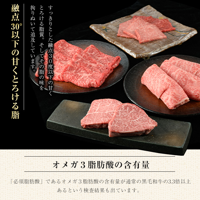 石原牛のヒレステーキ(120g×4) (数量限定)石原牛 赤身 ヒレ ステーキ 480g 国産 牛 ウシ 牛肉 焼肉 BBQ バーベキュー ビーフ 冷凍【石原PRO】ishihara-1346