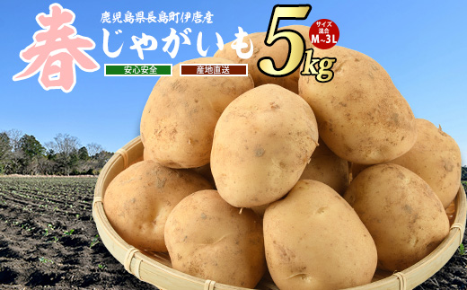 【厳選手選別】みずみずしい新じゃが　春じゃがいも5kg_horino-7073