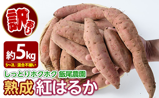 《訳あり》飯尾農園 熟成 紅はるか 約5kg 芋 いも さつまいも サツマイモ 鹿児島県産 国産 長島町産 べにはるか 熟成【飯尾農園】 miio-7233