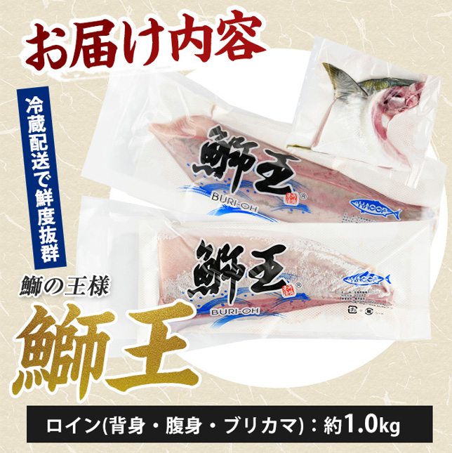 【10月以降順次発送】【切って盛るだけ】『旅サラダ』で紹介ぶりの王様「 鰤王 」 ロイン 2節 (約1.0kg〜) 半身 産地直送 新鮮 旨味が抜群の 長島町 特産品 ブランド ぶり 鰤 ブリ 切り身 真空 冷蔵 刺身 ぶりしゃぶ しゃぶしゃぶ 魚 魚介 人気 ランキング 【JFA】jfa-7132