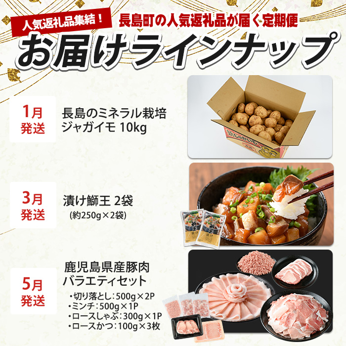 《奇数月発送全6回》全事業者 長島町スペシャル定期便 nagashima-1538