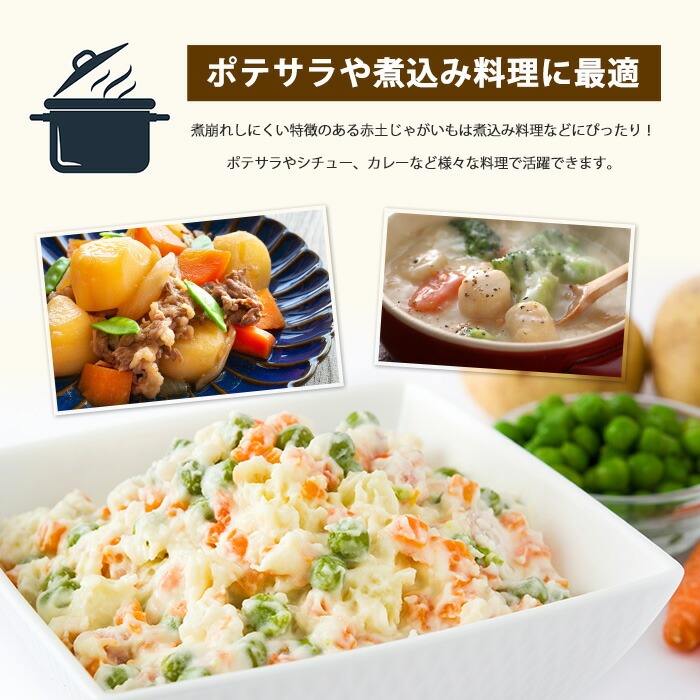 é·å³¶ã®ããã©ã«æ œå¹ããããã(èš10kg)ããšã°ãããžãã«(æ ª)ãeguchi-7019