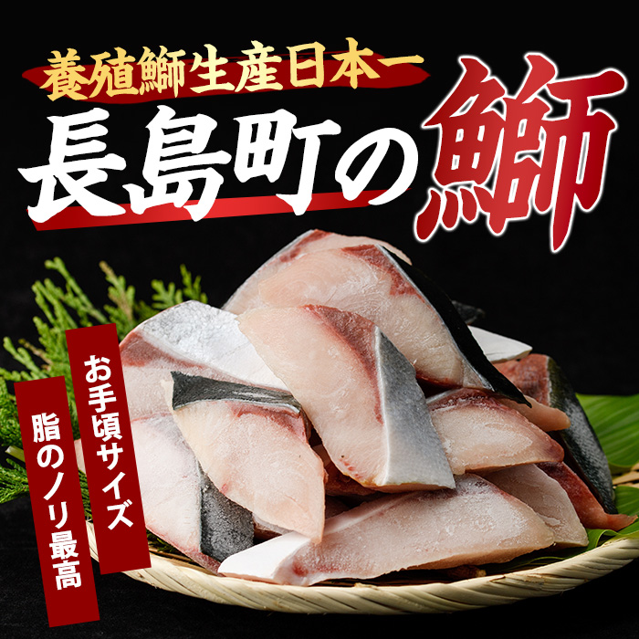 鰤の切り身（約1.0kg）【株式会社島水】shimasui-7289