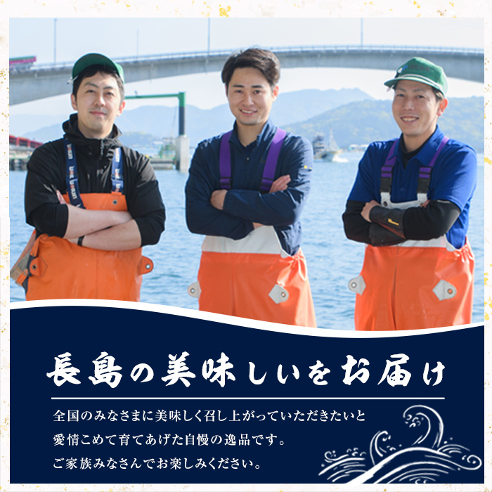 ＜定期便・2ヶ月毎 全3回＞ 早生鰤王フィレ 定期便 長島町特産「鰤王」フィレ 約1.0kg×1枚 早生鰤 国産 鹿児島県産 鰤 ブリ ぶり 鰤 ぶりおう 冷蔵 海鮮 海産物 魚介 ブランド 魚 真空パック 刺身 ぶりしゃぶ しゃぶしゃぶ 海鮮丼 産地直送【JFA】jfa-1386B