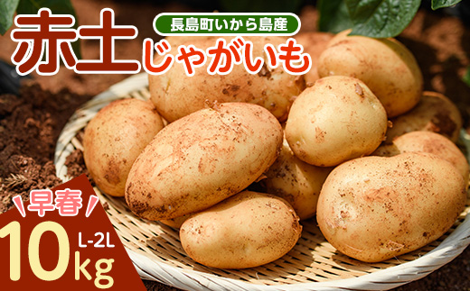 《早春:2月中旬より発送》いから島産赤土じゃがいも10kg 【高橋農園】takahashi-7310