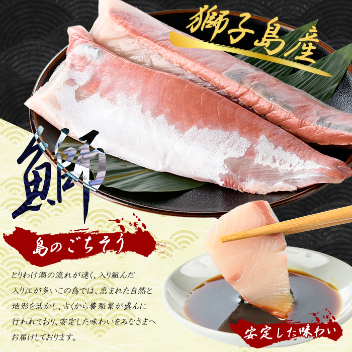 【先行予約】獅子島産 百年漁師の鰤 スキンレスロイン2パック (半身分) 【島のごちそう】gochi-7040R8