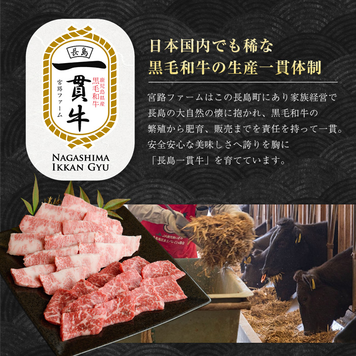 鹿児島県長島町産　黒毛和牛ロースステーキ250g×2枚　計500g