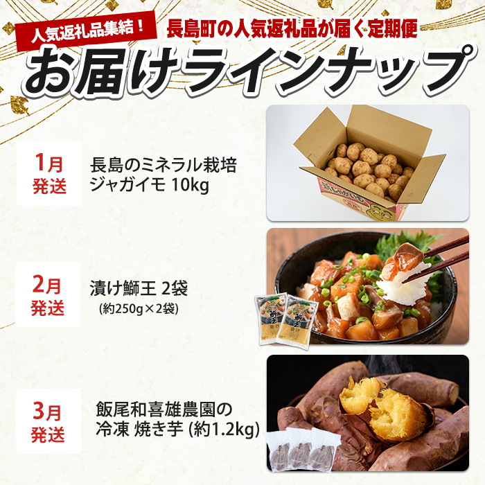 《毎月発送全12回》全事業者 長島町スペシャル定期便  nagashima-1536