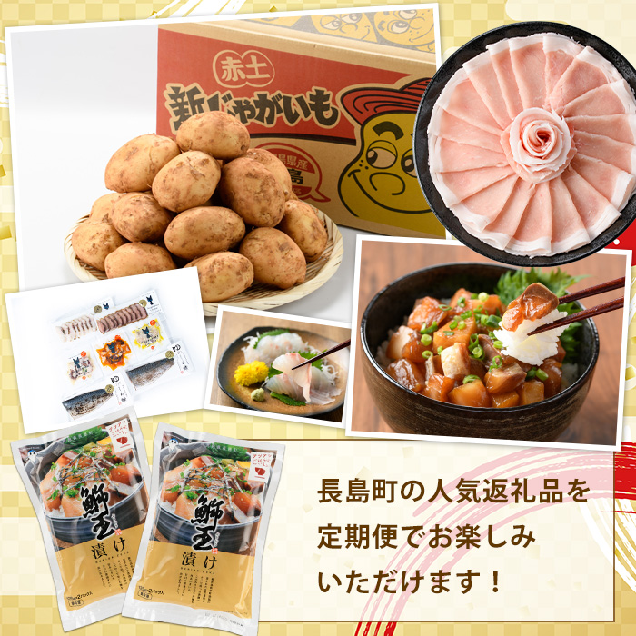 《奇数月発送全6回》全事業者 長島町スペシャル定期便 nagashima-1538