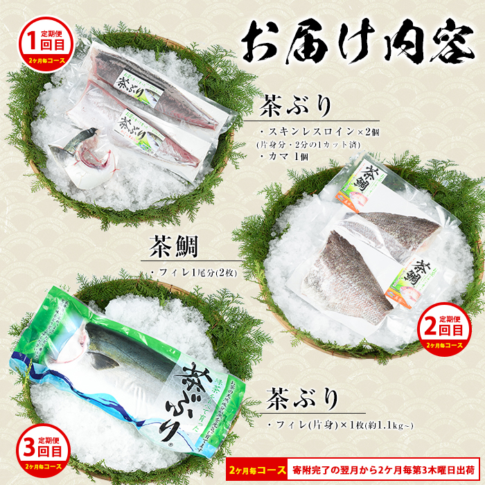 茶ぶり・茶鯛の定期便 2ヶ月毎 (全3回)  国産 鹿児島県産 ブリ 茶ぶり 鰤 茶鯛 鯛 海鮮 海産物 フィレ 魚介 魚 刺身 海鮮丼 産地直送 定期【ウスイ】usui-1604B