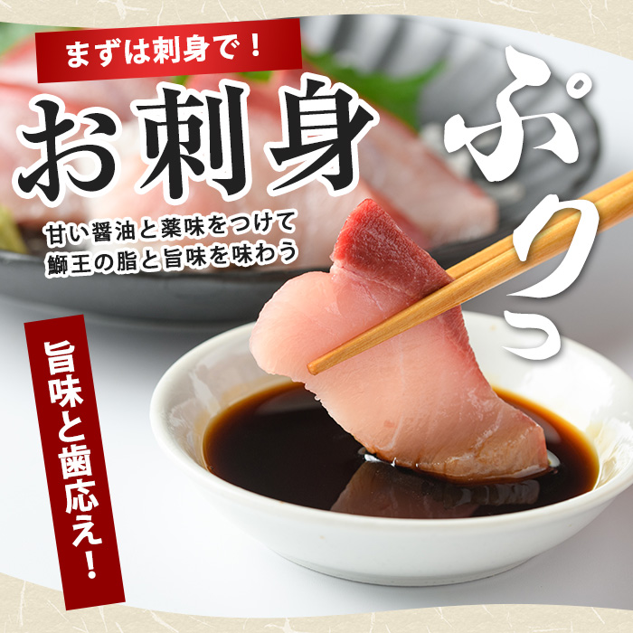 ＼年末発送 先行予約／＜数量限定＞【2026年12月22日発送】『旅サラダ』で紹介ぶりの王様「 鰤王 」 フィレ 半身 (約1.2kg〜・フィレ1枚) 産地直送 新鮮 旨味が抜群の 長島町 特産品 ブランド ぶり 鰤 ブリ 切り身 真空 冷蔵 刺身 ぶりしゃぶ しゃぶしゃぶ 魚 魚介 人気 ランキング 年末年始発送 【JFA】jfa-7006-22