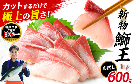 ぶりの王様「 鰤王 」新物 スキンレスポーション 4P入り 冷蔵 でお届け ぶり ブリ 鰤 ぶりしゃぶ たたき 産地直送 新鮮 旨味が抜群の 長島町 特産品【JFA】jfa-1645