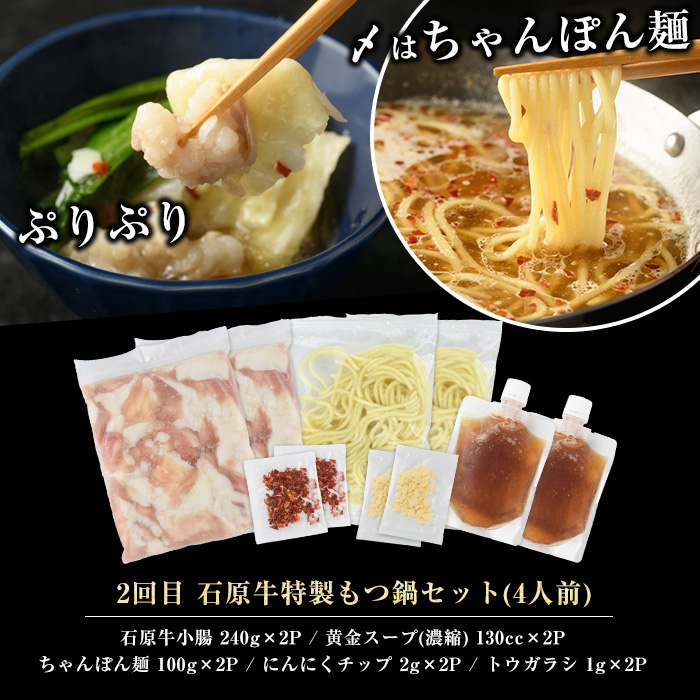 ＜定期便・毎月発送全3回＞ 石原牛の定期便【もつ食べ比べ編】 【石原PRO】nagashima-1524