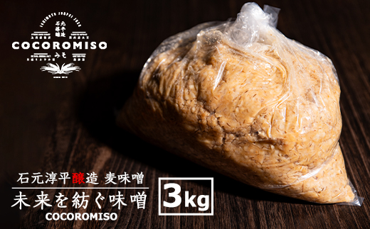 鹿児島県長島町産！未来を紡ぐ味噌 (3kg)【石元淳平醸造】cocoro-7014