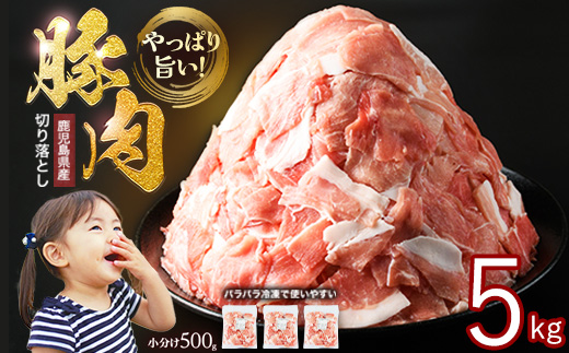 小分け＆パラパラで使い勝手抜群！安心の鹿児島県産 豚肉 切り落とし (計5kg・500g×10P) 訳あり 小間切れ 小分け 冷凍 ふるさと納税 豚肉 切り落とし【スターゼン】starzen-7300