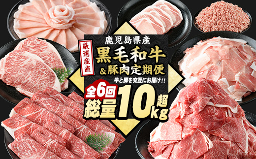 ＜定期便全6回＞黒毛和牛・豚肉ミックス定期便 総重量10kg以上 赤身 モモ 豚 ミンチ ロースかつ 豚肉 牛肉 切り落とし サーロイン 豚ロース しゃぶしゃぶ すき焼き 【スターゼン】starzen-1427