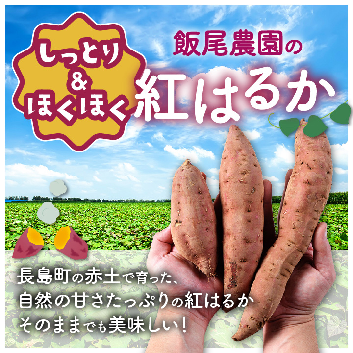 ãèš³ããã飯尟蟲å çŽ
ã¯ãã çŽ10kg è ãã ãã€ãŸãã ãµããã€ã¢ 鹿å
å³¶çç£ åœç£ é·å³¶çºç£ ã¹ã«ã¯ãã çæã飯尟蟲åã miio-7232