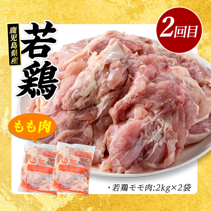 ＜定期便・毎月発送全4回＞鹿児島県産 豚小間 モモ肉 ムネ肉 ふるさと納税 豚肉 鶏肉 若鶏 ふるさと 人気 ランキング【まつぼっくり】matu-1512