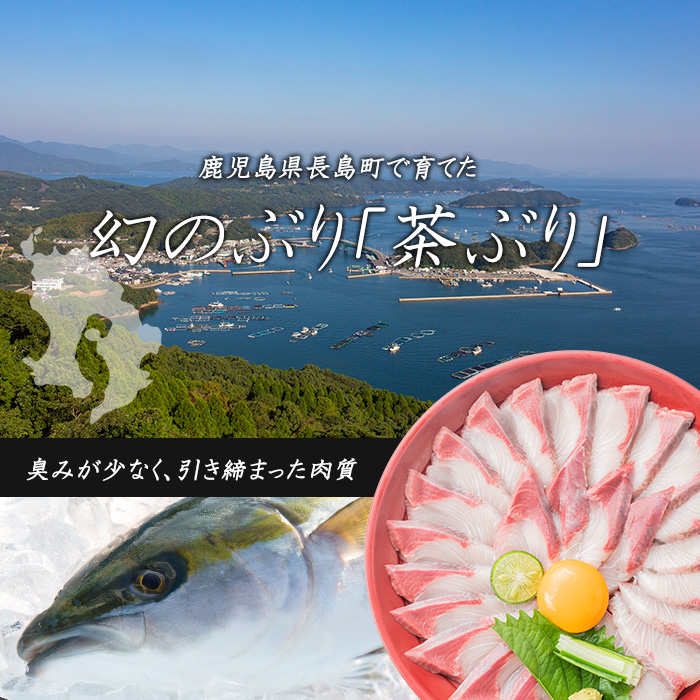 〈鹿児島県長島町産〉どん薩摩の 茶ぶりのお刺身セット（専用醤油付き・小）【株式会社Never Land】never-1107