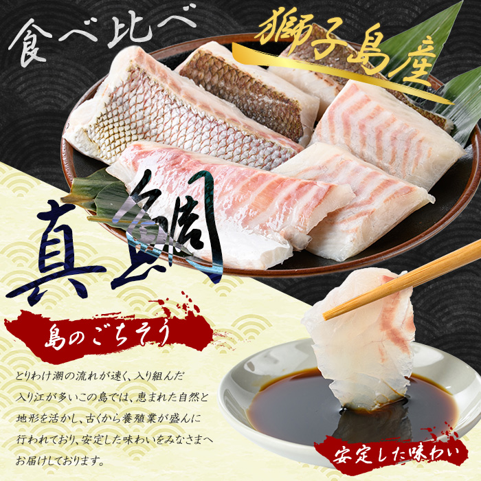 獅子島産 百年漁師の真鯛 お刺身と炙り刺身食べ比べ (各約100g×3パック) 計6P【島のごちそう】gochi-7055R8