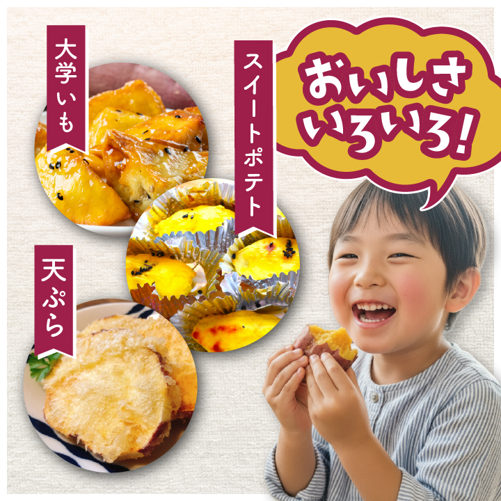 《訳あり》飯尾農園 熟成 紅はるか 約5kg 芋 いも さつまいも サツマイモ 鹿児島県産 国産 長島町産 べにはるか 熟成【飯尾農園】 miio-7233