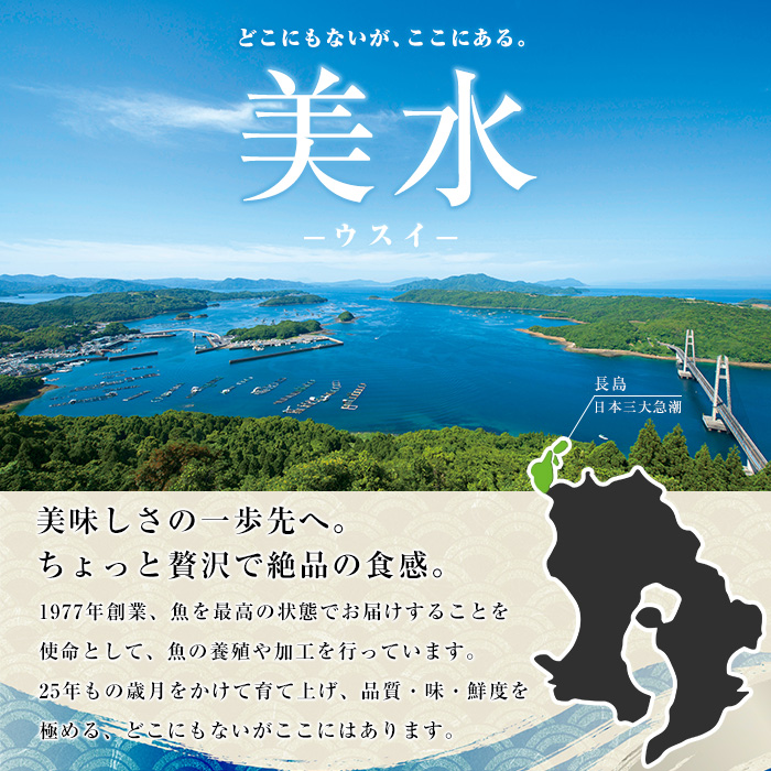 茶ぶりフィレ定期便 2ヶ月毎 (全3回)  国産 鹿児島県産 ブリ 茶ぶり 鰤 海鮮 海産物 フィレ 魚介 魚 刺身 海鮮丼 産地直送 定期【ウスイ】usui-1383B