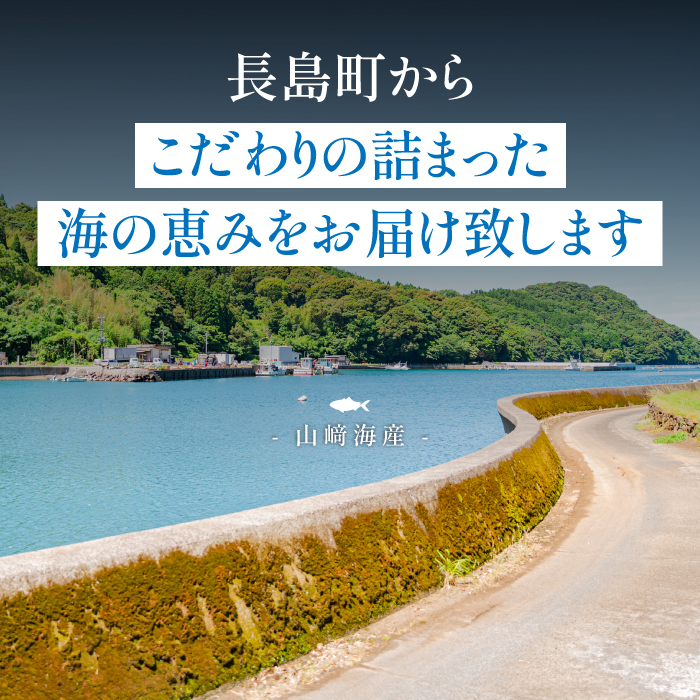 らくらく調理ぶりセット(5種) 魚セット ぶり 柵 刺身 ブリ 切り身 鰤 フィレ 焼くだけ 簡単調理 おかずセット 【山崎海産】yama-6022