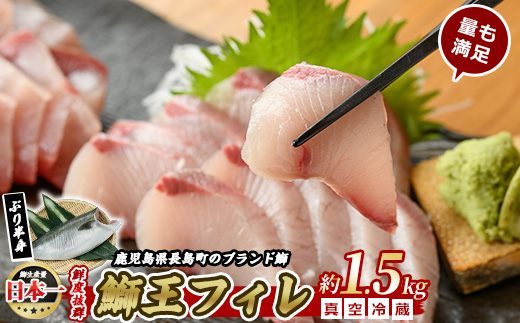 ぶりの王様「 鰤王 」 フィレ (約1.5kg・フィレ1枚) 産地直送 新鮮 旨味が抜群の 長島町 特産品 ブランド ぶり 鰤 ブリ 切り身 真空 冷蔵 刺身 ぶりしゃぶ しゃぶしゃぶ 魚 魚介 人気 ランキング 【JFA】jfa-1219