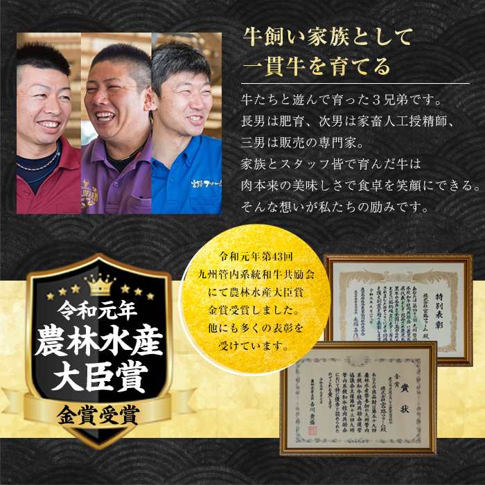 鹿児島県長島町産 黒毛和牛切り落とし (計600g・300g×2P) 牛肉 切り落とし 小分け 黒毛和牛 鹿児島 和牛 切り落とし 牛切り落とし 【宮路ファーム】f-miyaji-1389