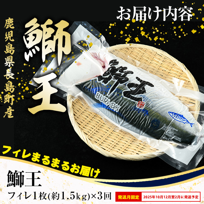 ＜定期便・2ヶ月毎 全3回＞ 鰤王フィレ 定期便 長島町特産「鰤王」フィレ 約1.5kg×1枚 国産 鹿児島県産 鰤 ブリ ぶり 鰤 ぶりおう 冷蔵 海鮮 海産物 魚介 背身 腹身 ブランド 魚 真空パック 刺身 ぶりしゃぶ しゃぶしゃぶ 海鮮丼 産地直送【JFA】jfa-1387B