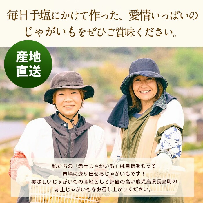 é·å³¶ã®ããã©ã«æ œå¹ããããã(èš10kg)ããšã°ãããžãã«(æ ª)ãeguchi-7019