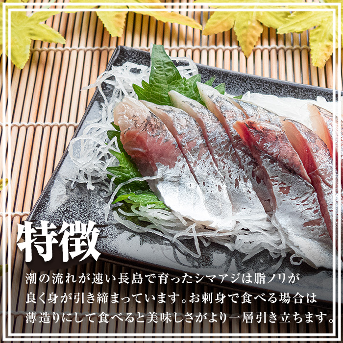 鹿児島県長島町産 シマアジ (約1.0kg・1匹) シマアジ 鹿児島 鮮魚 一匹 柵 刺身 切り身 高級あじ 高級魚【JFA】jfa-4121