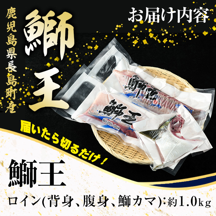 ＜2025年1月発送＞【先行予約】テレビで紹介ぶりの王様「 鰤王 」 ロイン 2節 (約1kg) 半身 産地直送 新鮮 旨味が抜群の 長島町 特産品 ブランド ぶり 鰤 ブリ 切り身 真空 冷蔵 刺身 ぶりしゃぶ しゃぶしゃぶ 魚 魚介 人気 ランキング 【JFA】jfa-1241-01