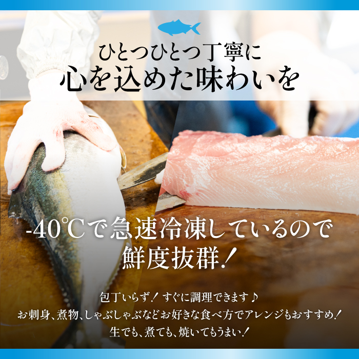 長島海の恵み 鰤セット(6種) 魚セット ぶり 柵 刺身 ブリ 切り身 鰤 フィレ ぶりかま 焼くだけ 簡単調理 おかずセット 【山崎海産】yama-6020