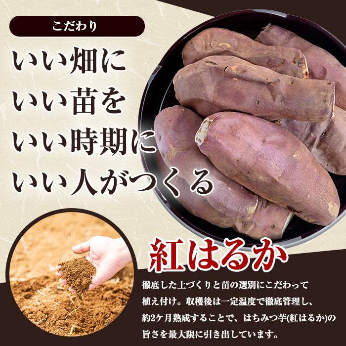 和喜雄さんといつみさんの冷凍焼き芋(約1.2kg) 焼き芋 冷凍 紅はるか 焼き芋 さつまいも 熟成 焼き芋鹿児島 スイーツ お菓子 おやつ 【飯尾和喜雄農園】iio-4851