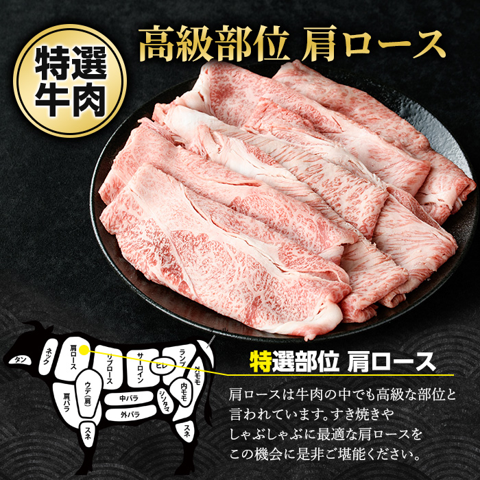 鹿児島県産 黒毛和牛 肩ロース スライス (計600g・300g×2P) 【ナンチク】nanchiku-1312