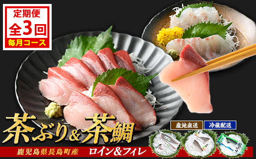 茶ぶり・茶鯛の定期便 毎月 (全3回)  国産 鹿児島県産 ブリ 茶ぶり 鰤 茶鯛 鯛 海鮮 海産物 フィレ 魚介 魚 刺身 海鮮丼 産地直送 定期【ウスイ】usui-1604A