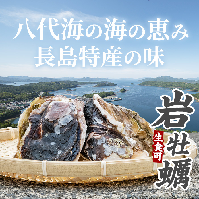 å€ã«çŸå³ã岩ãã çŽ3.0kg ïŒæ®»ã®ééå«ãïŒãéŠçäžžæ°Žç£ãkinsei-7169