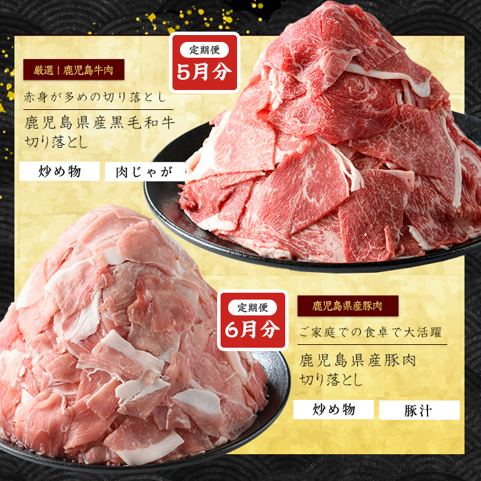 ＜定期便全6回＞黒毛和牛・豚肉ミックス定期便 総重量10kg以上 赤身 モモ 豚 ミンチ ロースかつ 豚肉 牛肉 切り落とし サーロイン 豚ロース しゃぶしゃぶ すき焼き 【スターゼン】starzen-1427