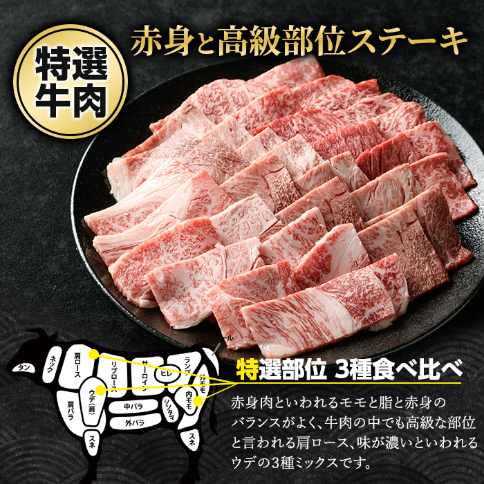 鹿児島県産黒毛和牛 焼肉セット 食べ比べ 3種 (計600g・各200g) モモ 肩ロース ウデ【ナンチク】nanchiku-1311