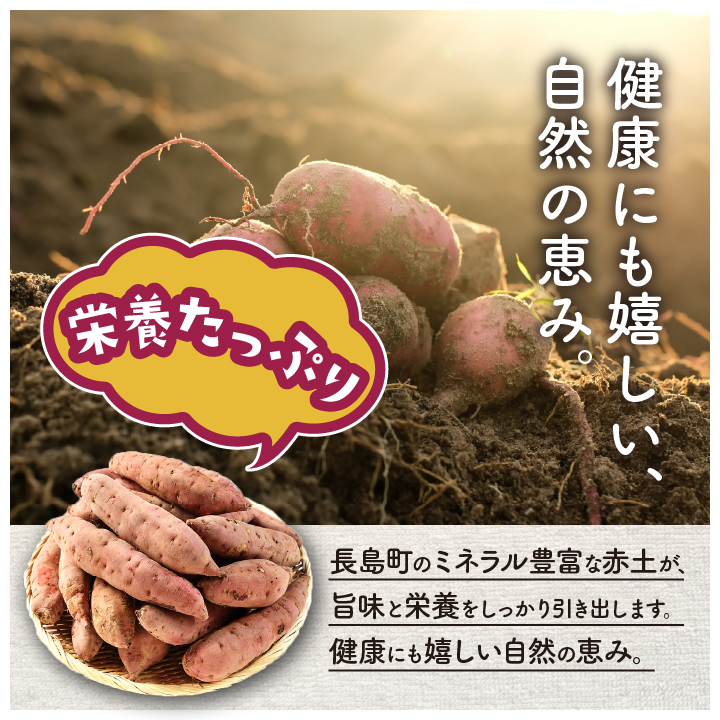 《訳あり》飯尾農園 熟成 紅はるか 約5kg 芋 いも さつまいも サツマイモ 鹿児島県産 国産 長島町産 べにはるか 熟成【飯尾農園】 miio-7233
