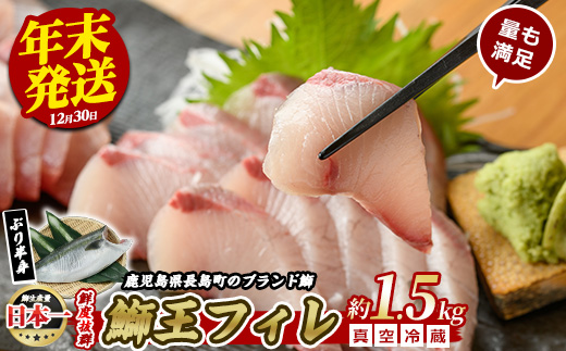 ＜数量限定＞【12月30日発送】ぶりの王様「 鰤王 」 フィレ (約1.5kg・フィレ1枚) 産地直送 新鮮 旨味が抜群の 長島町 特産品 ブランド ぶり 鰤 ブリ 切り身 真空 冷蔵 刺身 ぶりしゃぶ しゃぶしゃぶ 魚 魚介 人気 ランキング 【JFA】_jfa-6f-1230