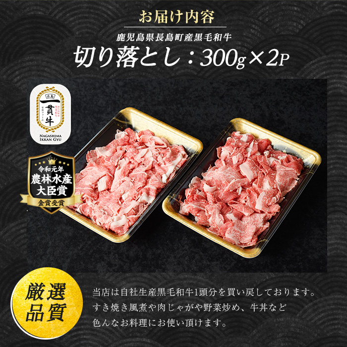 鹿児島県長島町産 黒毛和牛切り落とし (計600g・300g×2P) 牛肉 切り落とし 小分け 黒毛和牛 鹿児島 和牛 切り落とし 牛切り落とし 【宮路ファーム】f-miyaji-1389