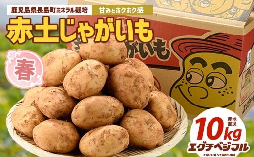 長島のミネラル栽培じゃがいも(計10kg)【エグチベジフル(株)】eguchi-7019