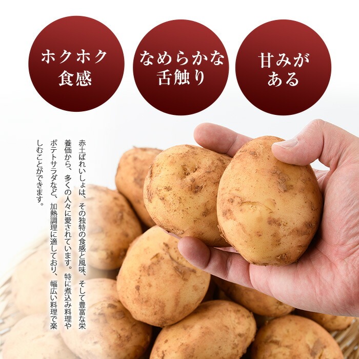 é·å³¶ã®ããã©ã«æ œå¹ããããã(èš10kg)ããšã°ãããžãã«(æ ª)ãeguchi-7019