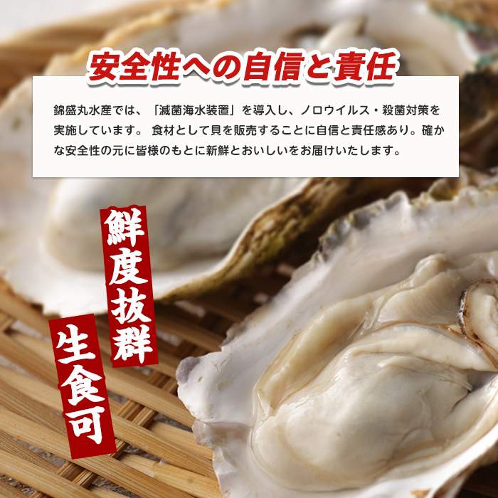 å€ã«çŸå³ã岩ãã çŽ3.0kg ïŒæ®»ã®ééå«ãïŒãéŠçäžžæ°Žç£ãkinsei-7169
