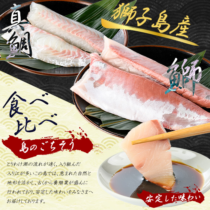 【先行予約】獅子島産 百年漁師の鰤と真鯛 食べ比べスキンレスロイン各2パック (半身分) 【島のごちそう】gochi-7058R8