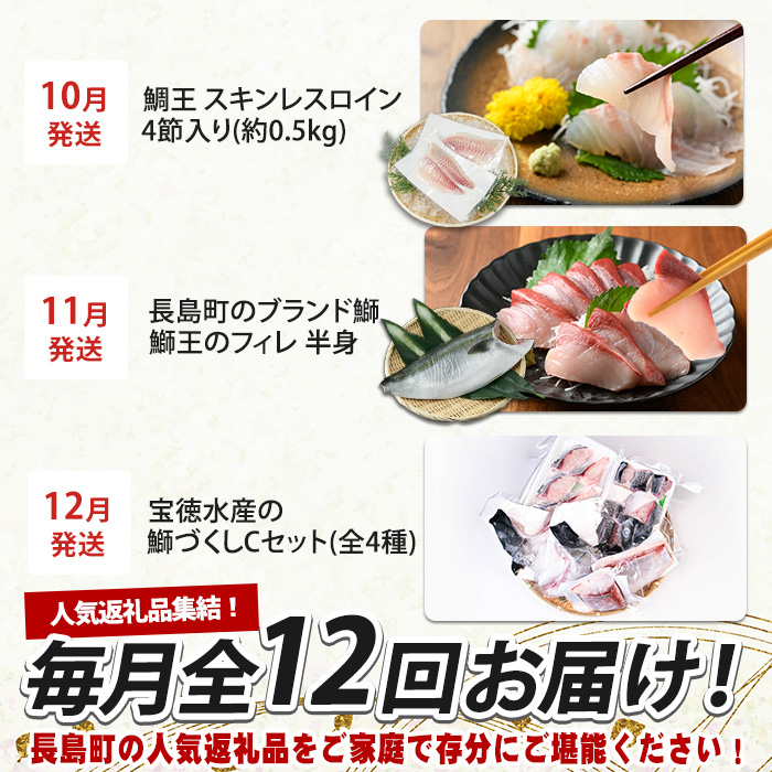 《毎月発送全12回》全事業者 長島町スペシャル定期便  nagashima-1536