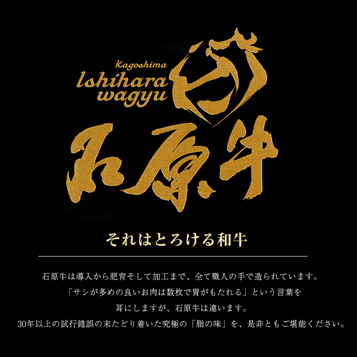 石原牛のヒレステーキ(120g×4) (数量限定)石原牛 赤身 ヒレ ステーキ 480g 国産 牛 ウシ 牛肉 焼肉 BBQ バーベキュー ビーフ 冷凍【石原PRO】ishihara-1346